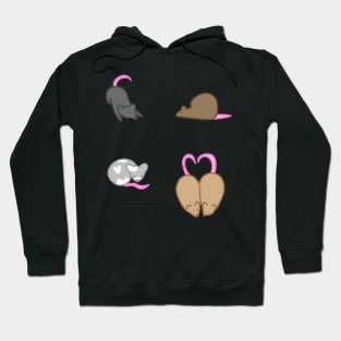 Silly Rats Sticker Pack Hoodie